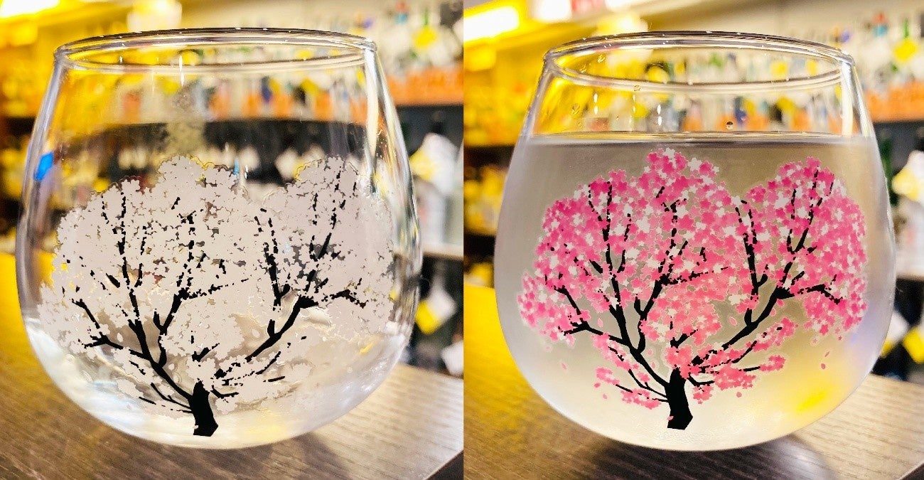 Tokyo SAKE Collection 2025 ～サケコレ＠アキバで日本酒～前田佳織里