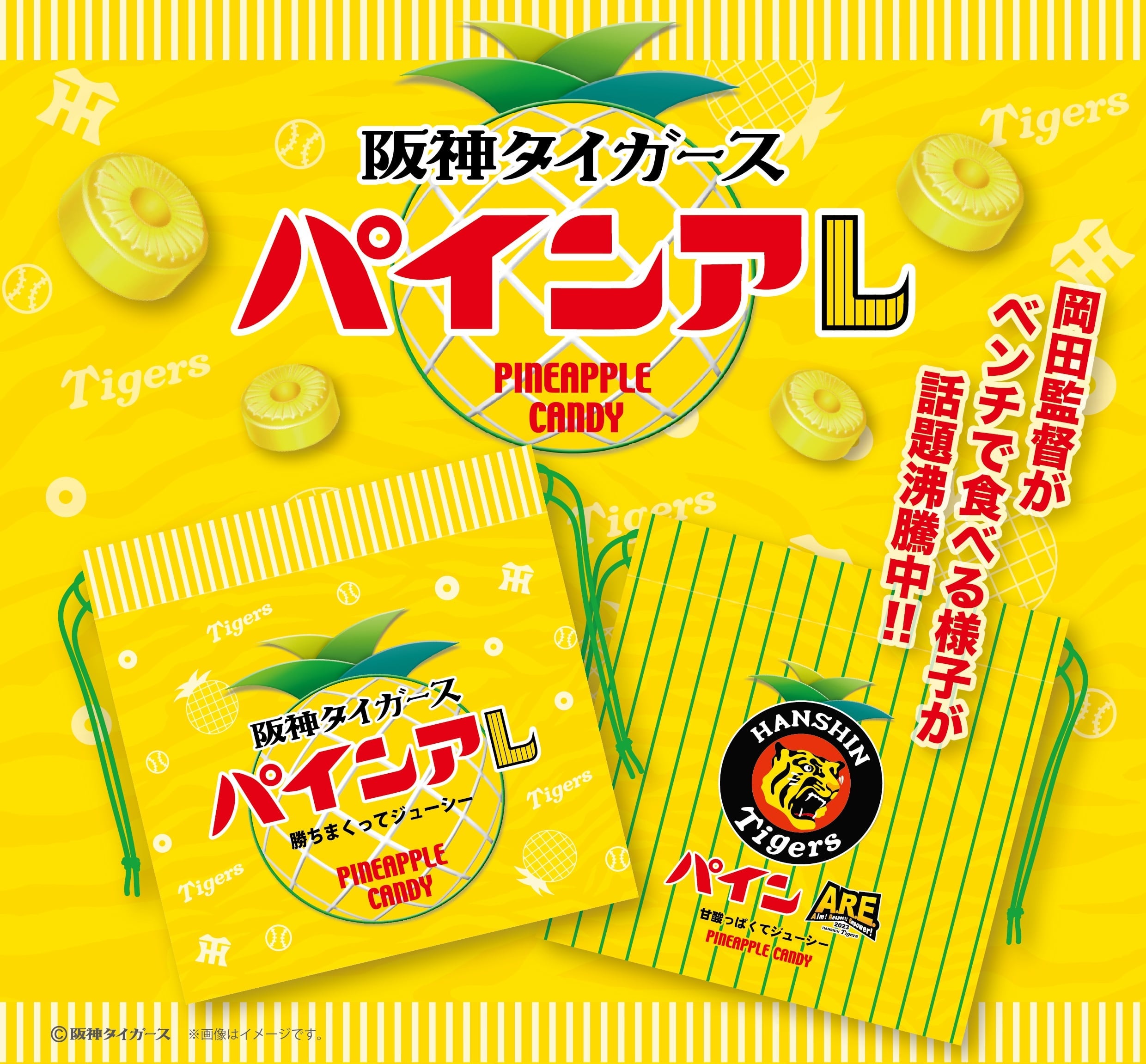 元西武 上本選手 実使用 スパイク 元西武 上本選手 実使用 スパイク