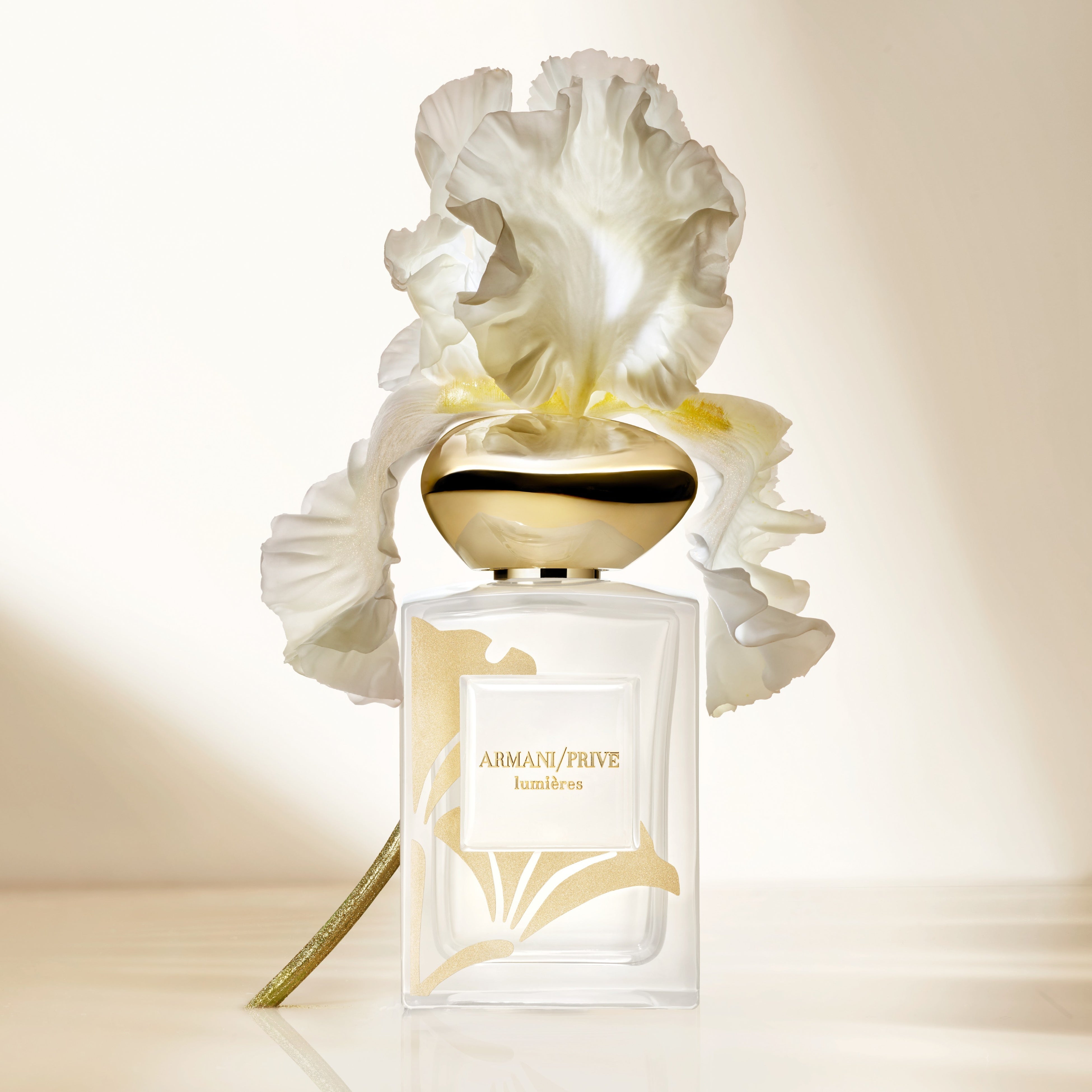 アルマーニ最高峰スキンケアシリーズ「クレマ ネラ」シリーズより