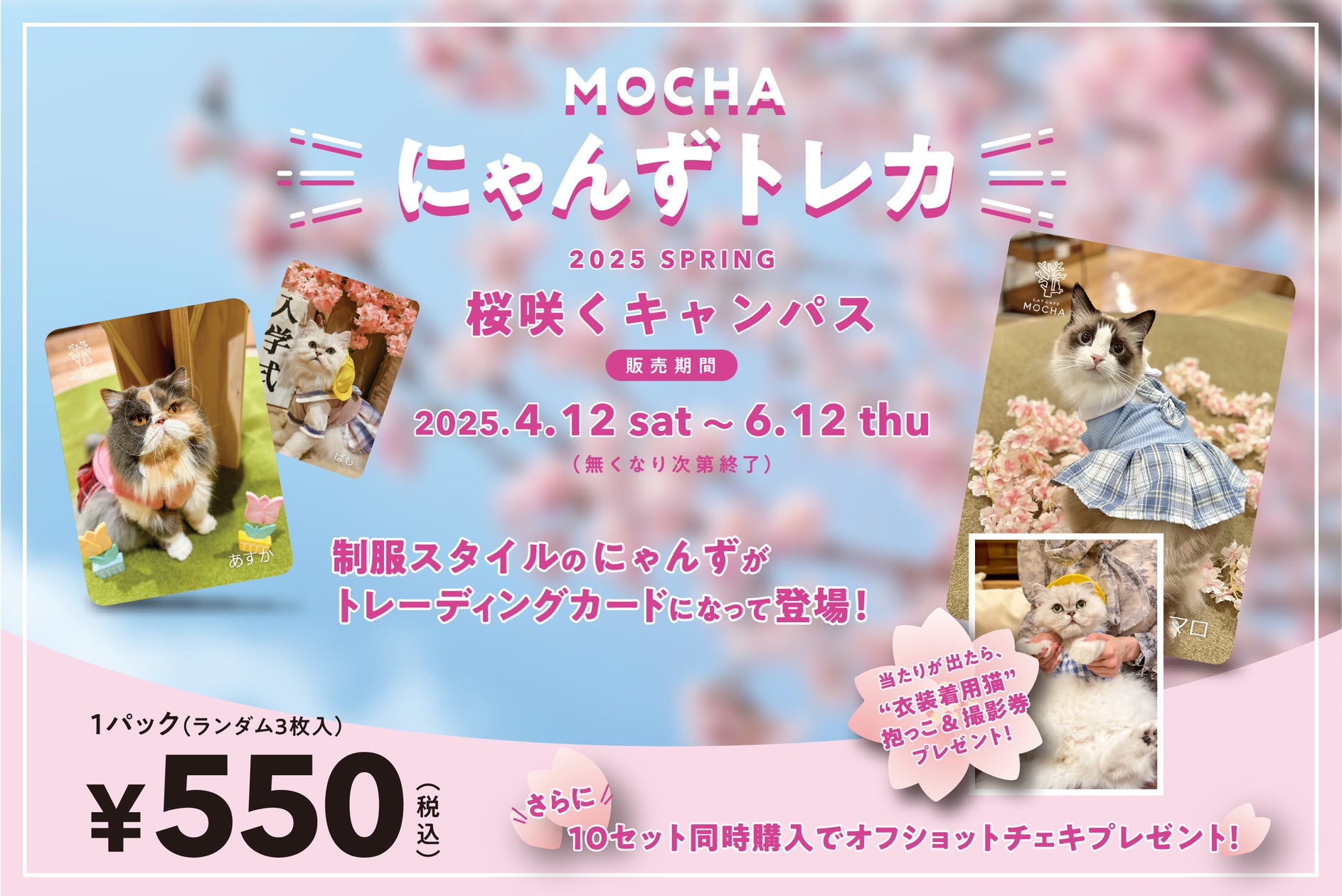 SNSで話題沸騰のMOCHAにゃんずトレカが1周年！春限定トレカ