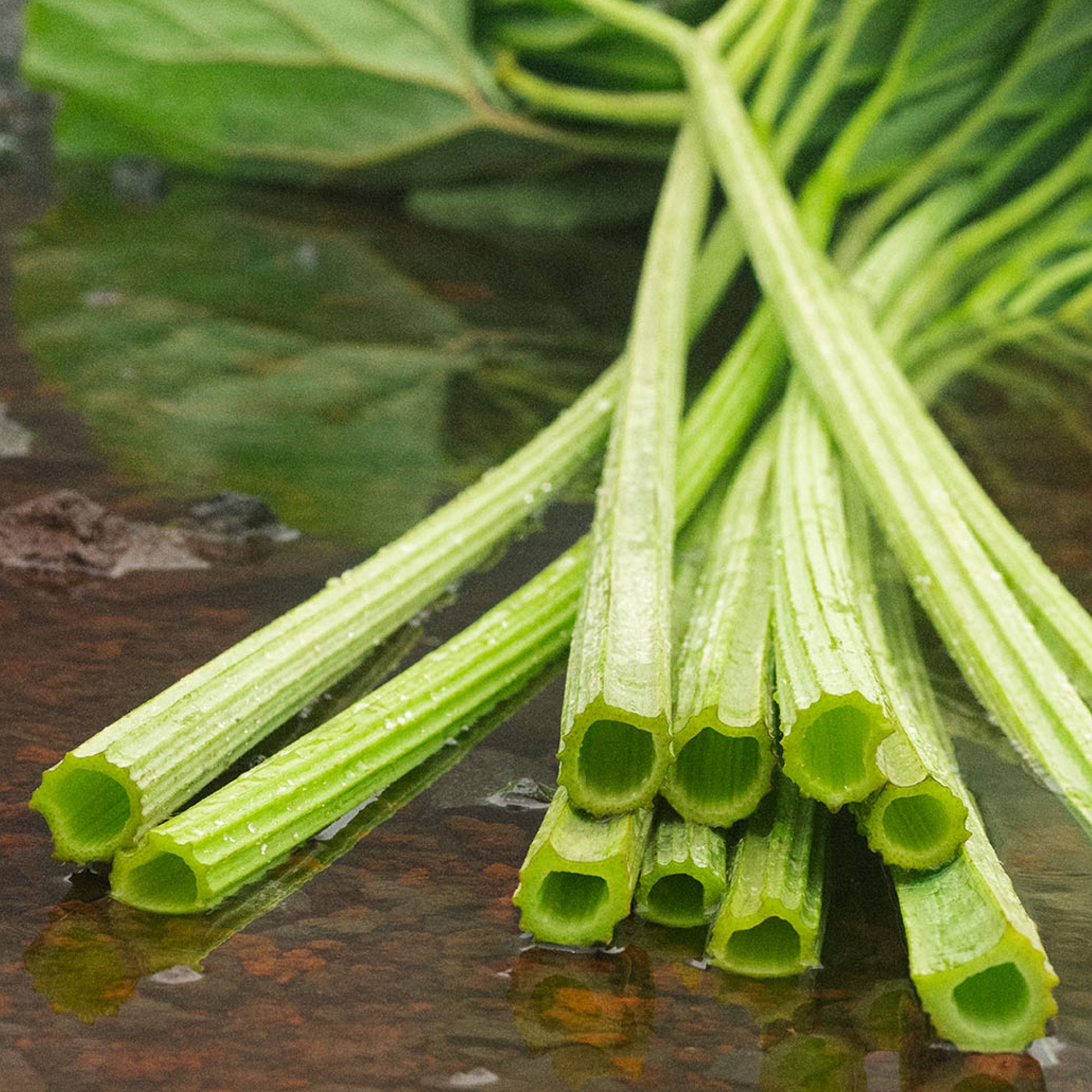 SHIRO】FACE MASK NEW LINEUP | 株式会社シロのプレスリリース