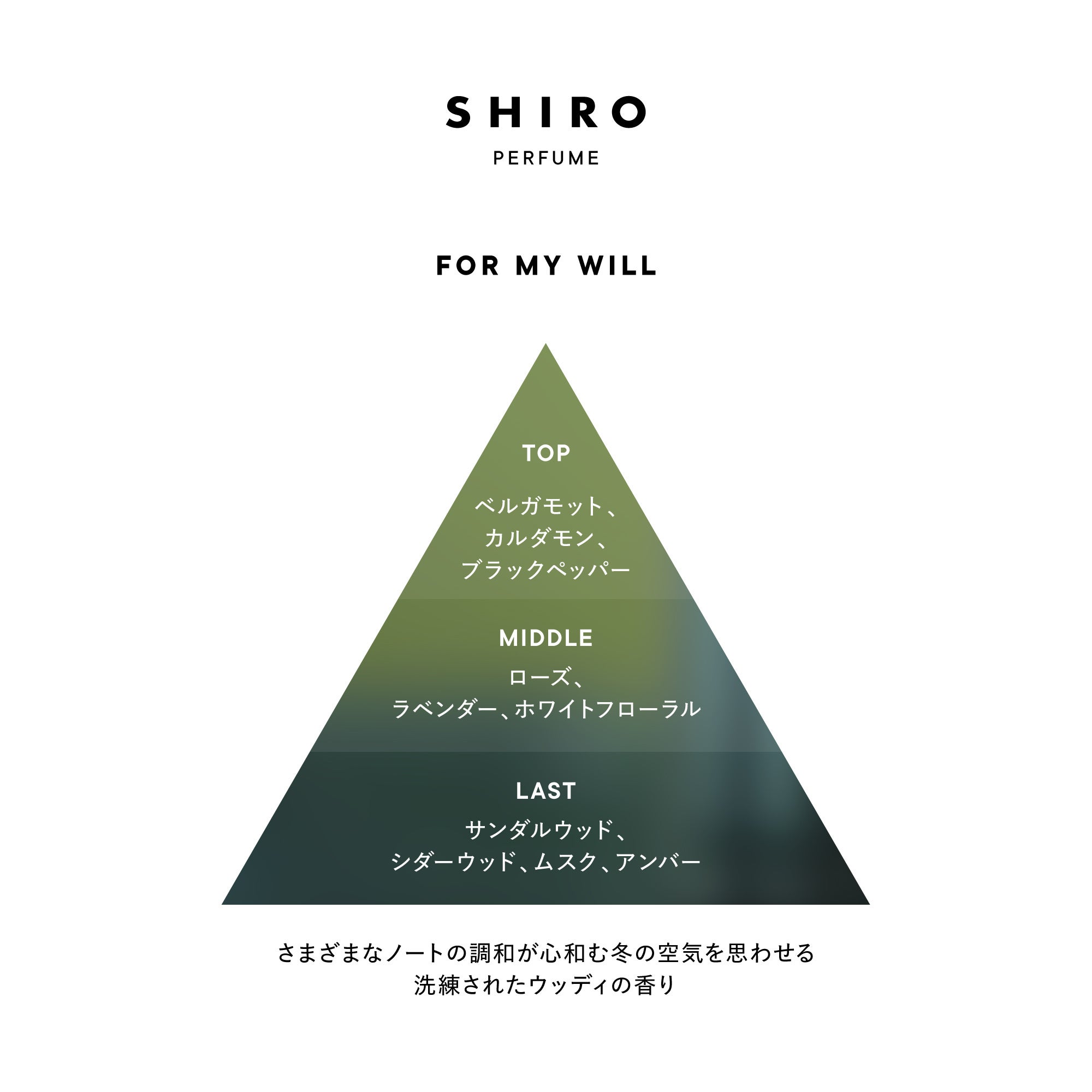 SHIRO】HOLIDAY 2025 LIMITED PERFUME「LOTS OF LOVE / FOR MY WILL