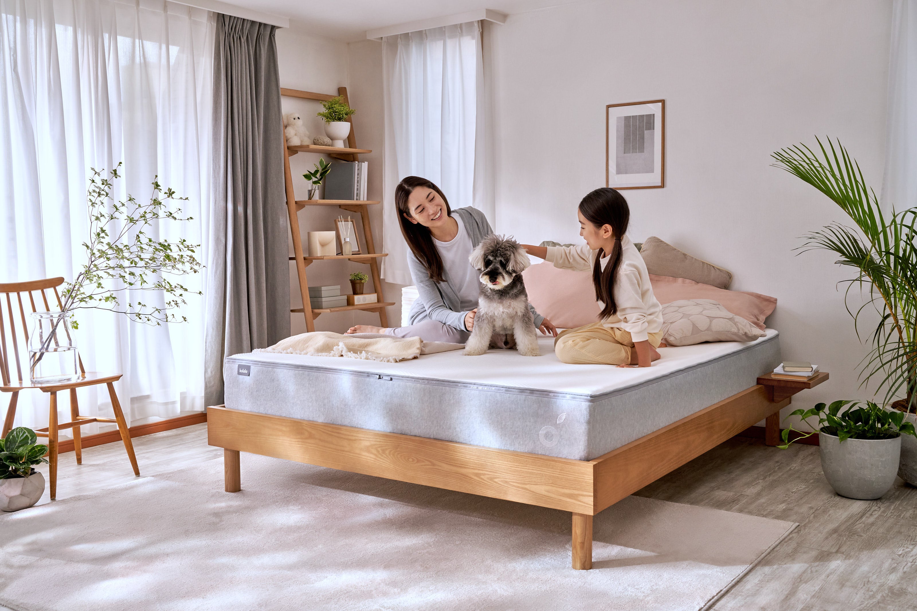 コアラマットレスが体感できるショーケースを二子玉川 蔦屋家電で開催