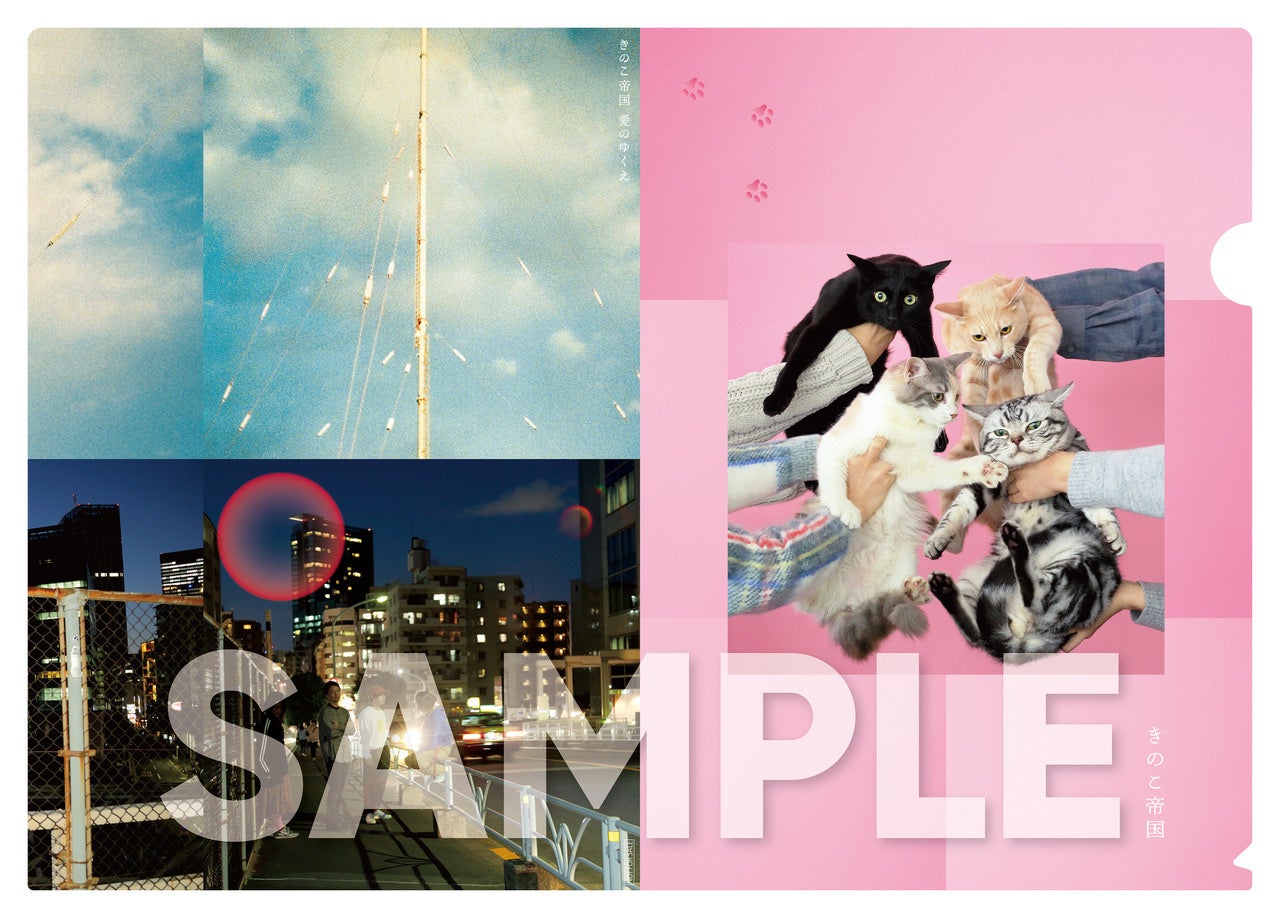 HMV record shop 独自企画盤】ロックバンド「きのこ帝国」初となる