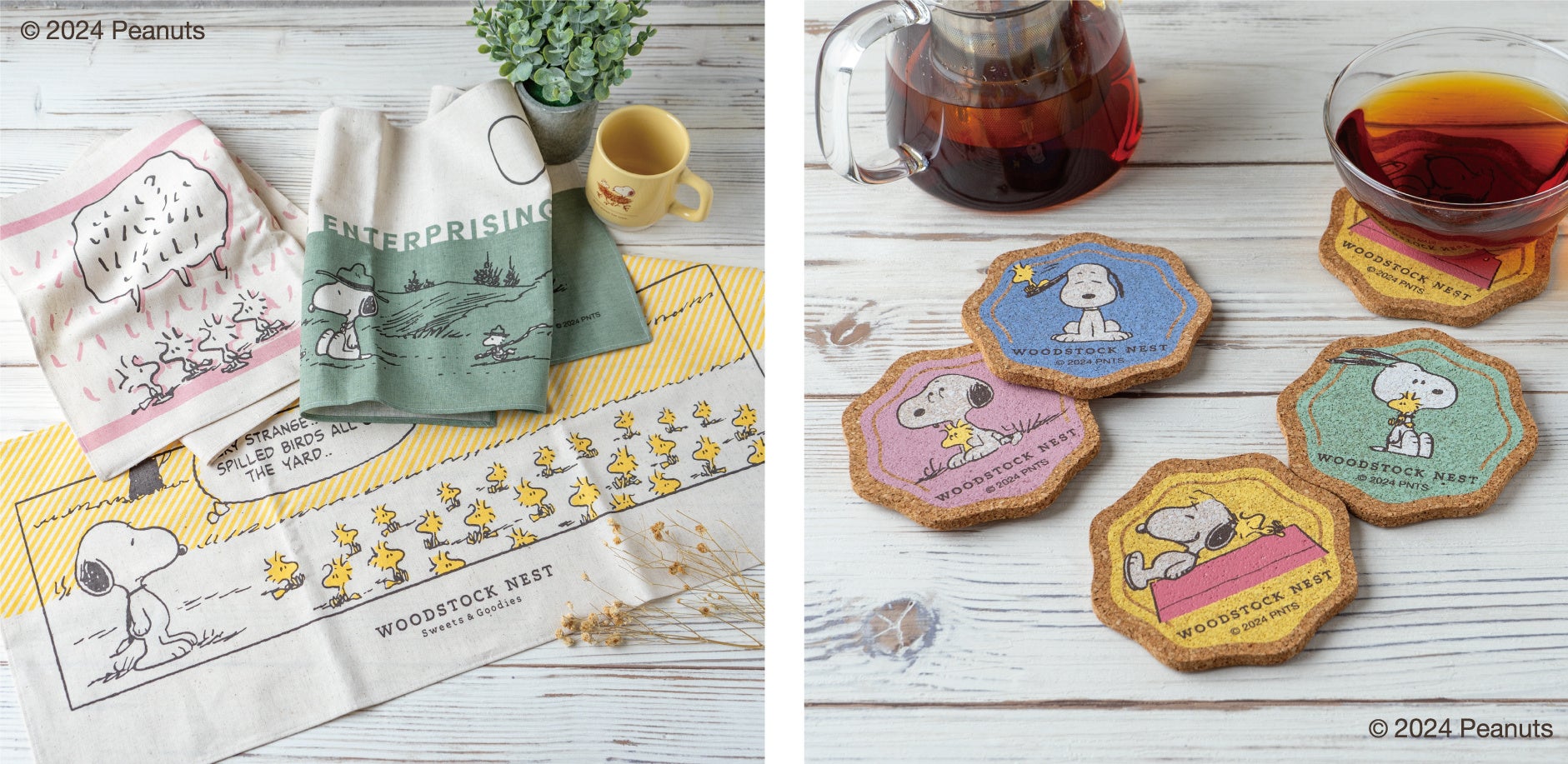 WOODSTOCKNESTで夏の新商品が続々登場！ | 株式会社 寺子屋のプレス