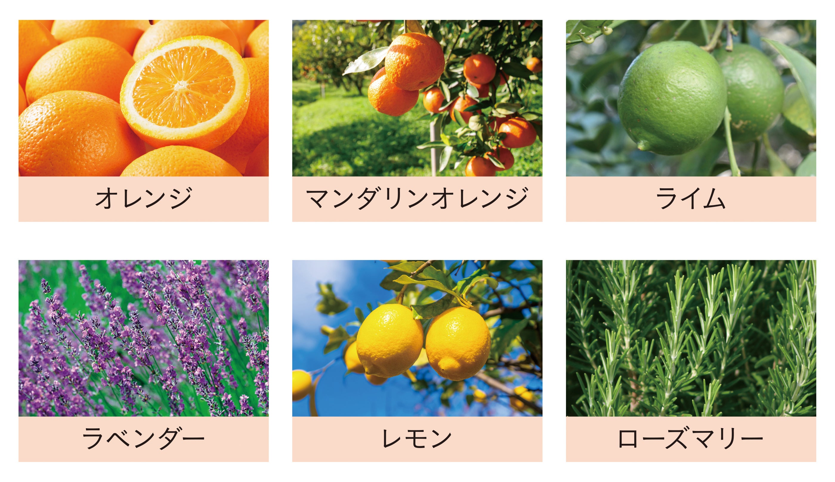 Koh Gen Do2024コフレ】テーマは、自分らしく輝く。全て限定品！この秋