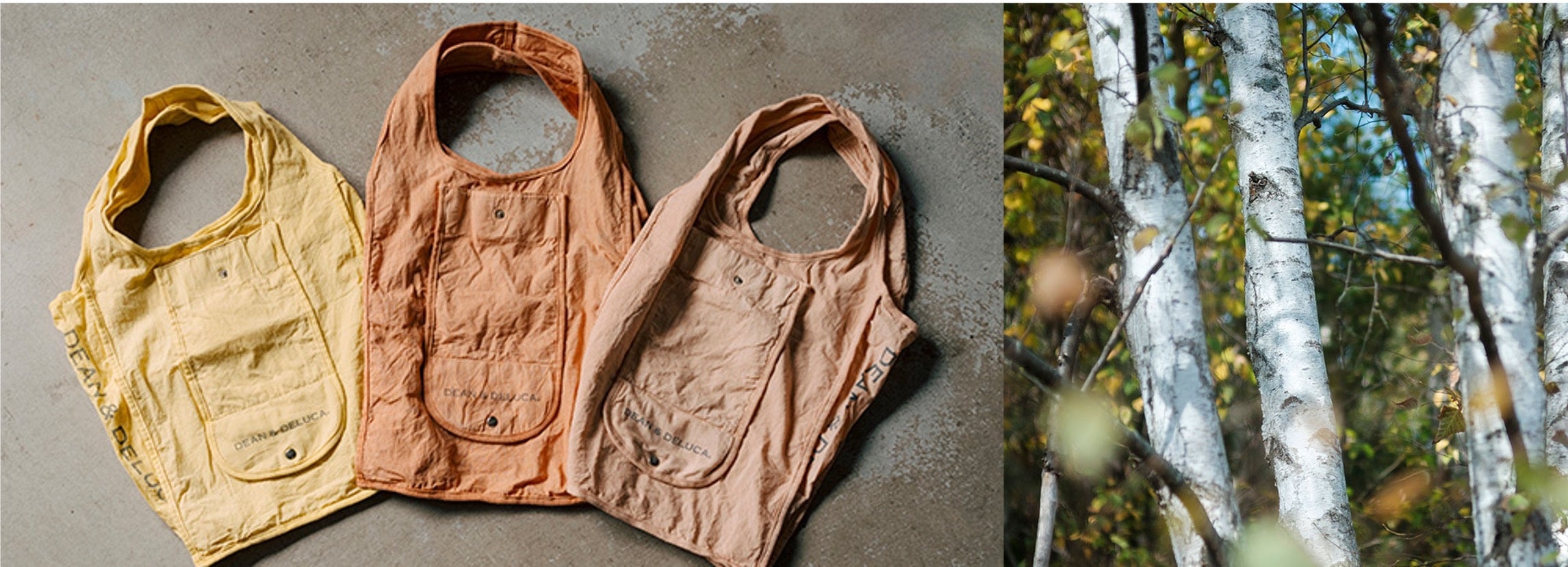 DEAN & DELUCAがBetulaN（ベチュラン）とつくる 葡萄の果皮から生まれ