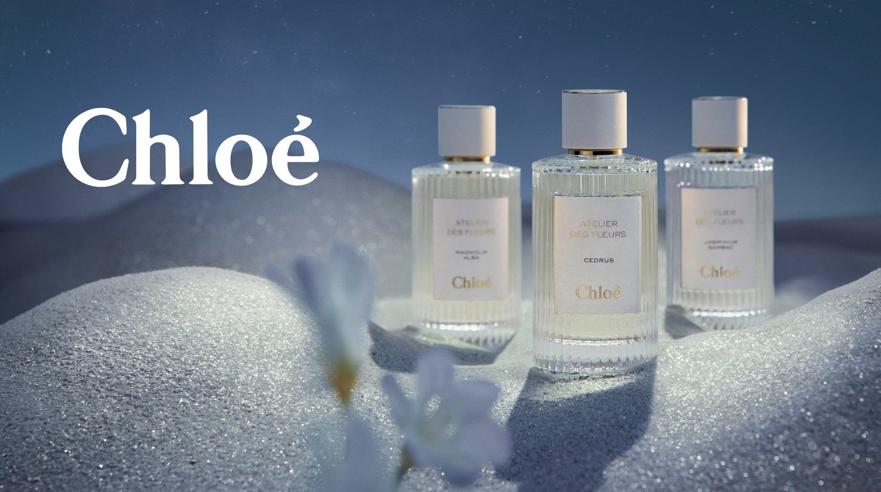 2023年11月22日(水)「クロエ アトリエ デ フルール」からホリデー