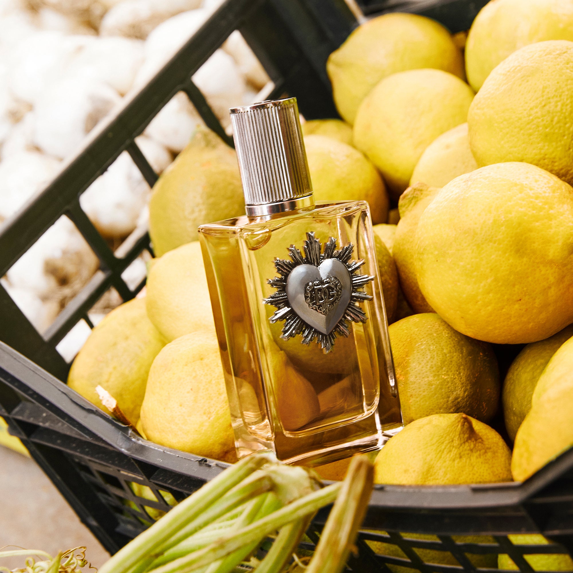 ドルチェ＆ガッバーナから新メンズフレグランス「ディヴォーション