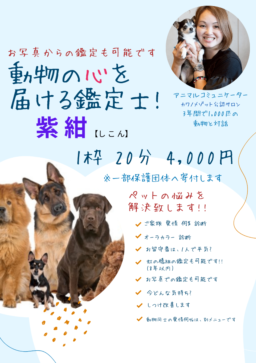 占い 紫紺 lit.link(リットリンク)