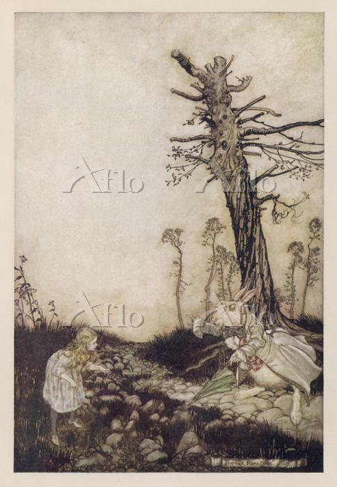 不思議の国のアリス」アーサー・ラッカム [98442867]のアート作品 - アフロ