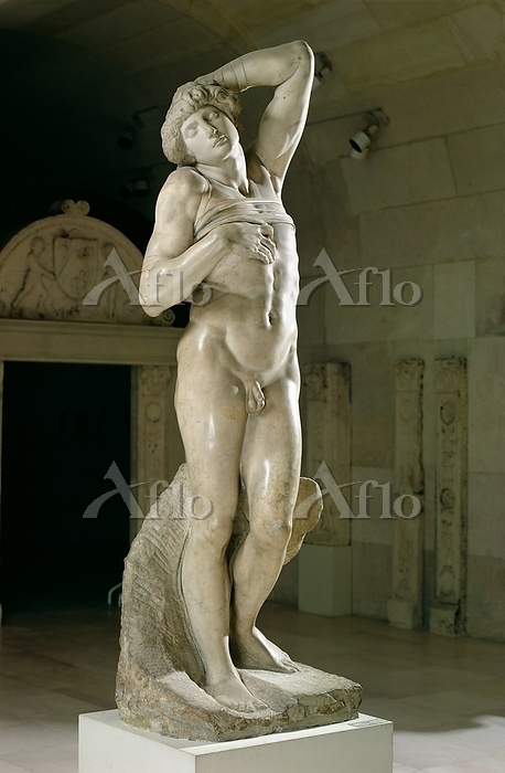 ミケランジェロ「瀕死の奴隷」 [138732960]のアート作品 - アフロ