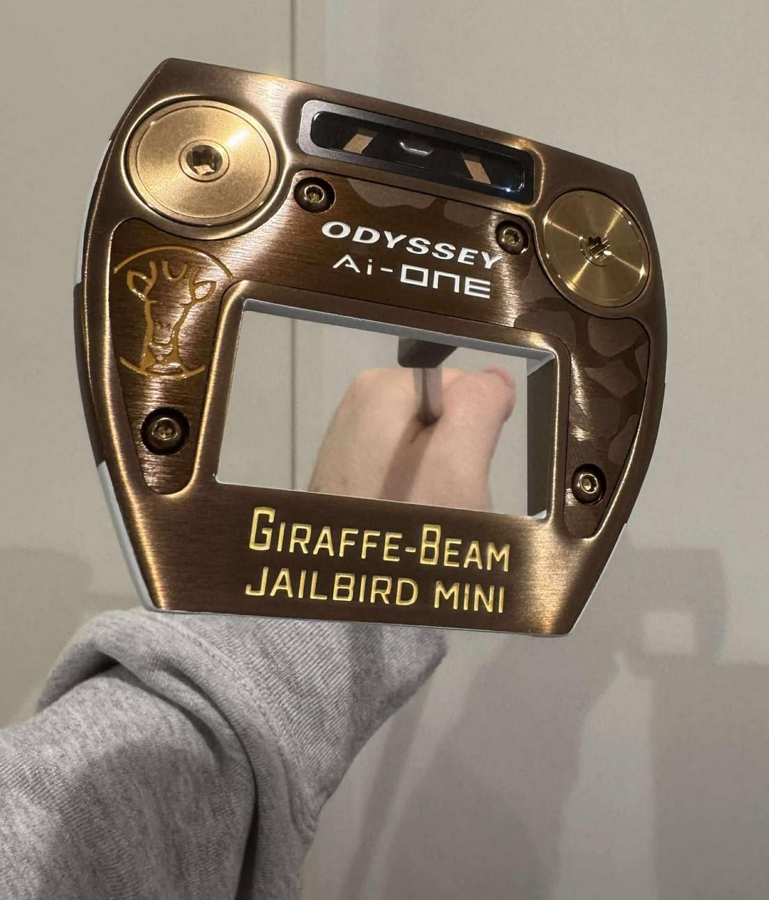 got-a-promotion-at-work-bought