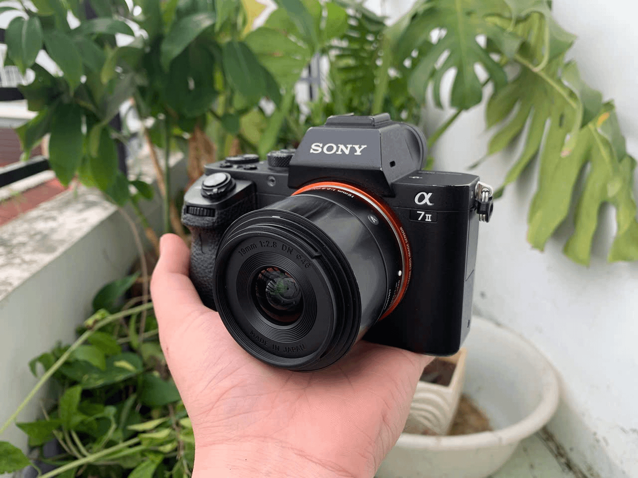 中古のSony A7ii、シャッター回数8万回弱のやつを買おうとしてるん