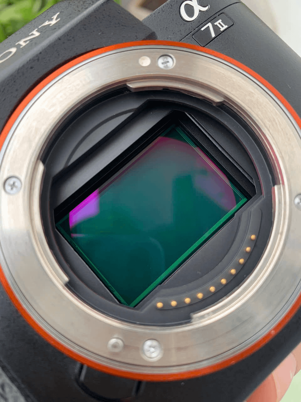 中古のSony A7ii、シャッター回数8万回弱のやつを買おうとしてるん