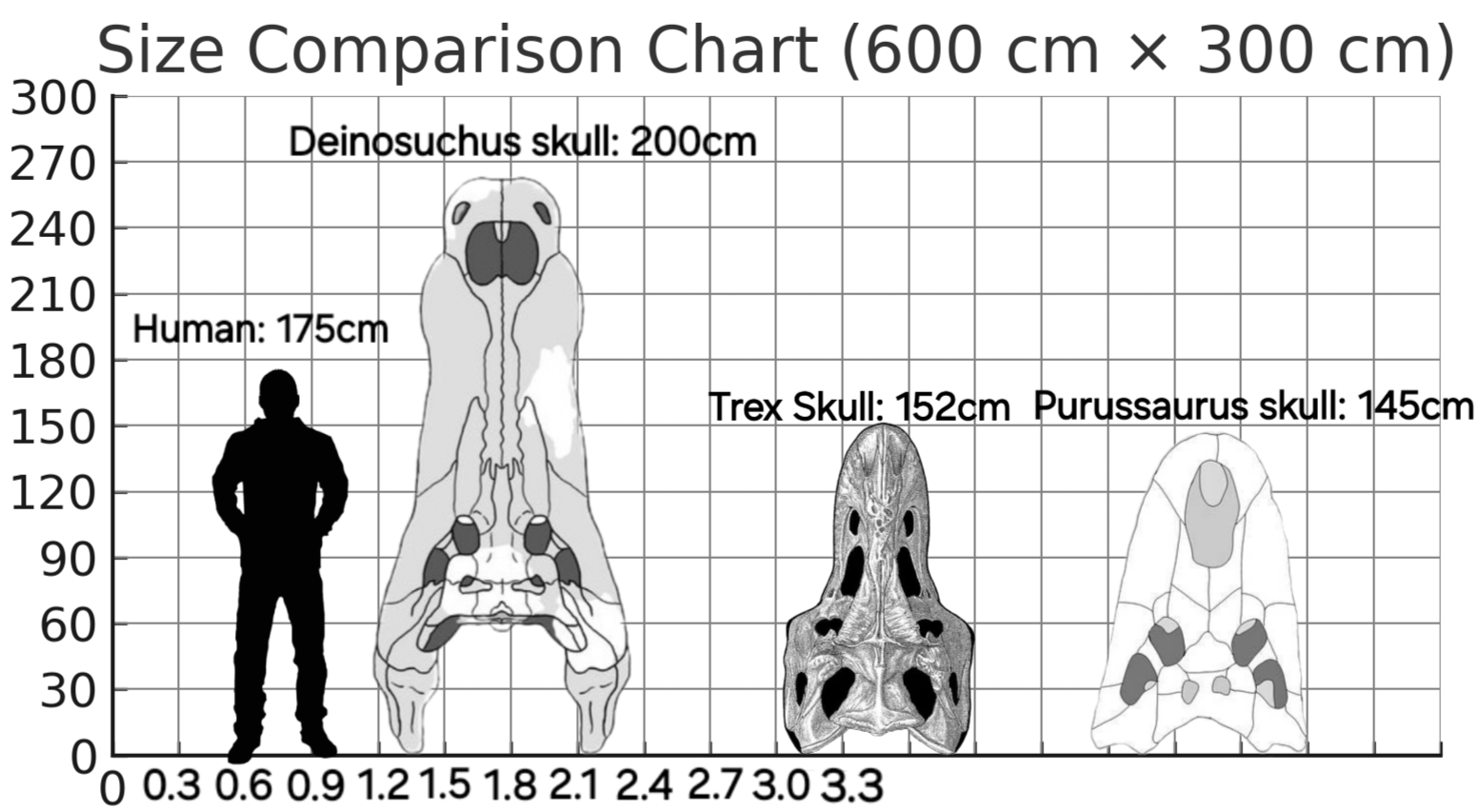 Dorsal skull size comparison of Deinosuchus, Trex and Purussaurus