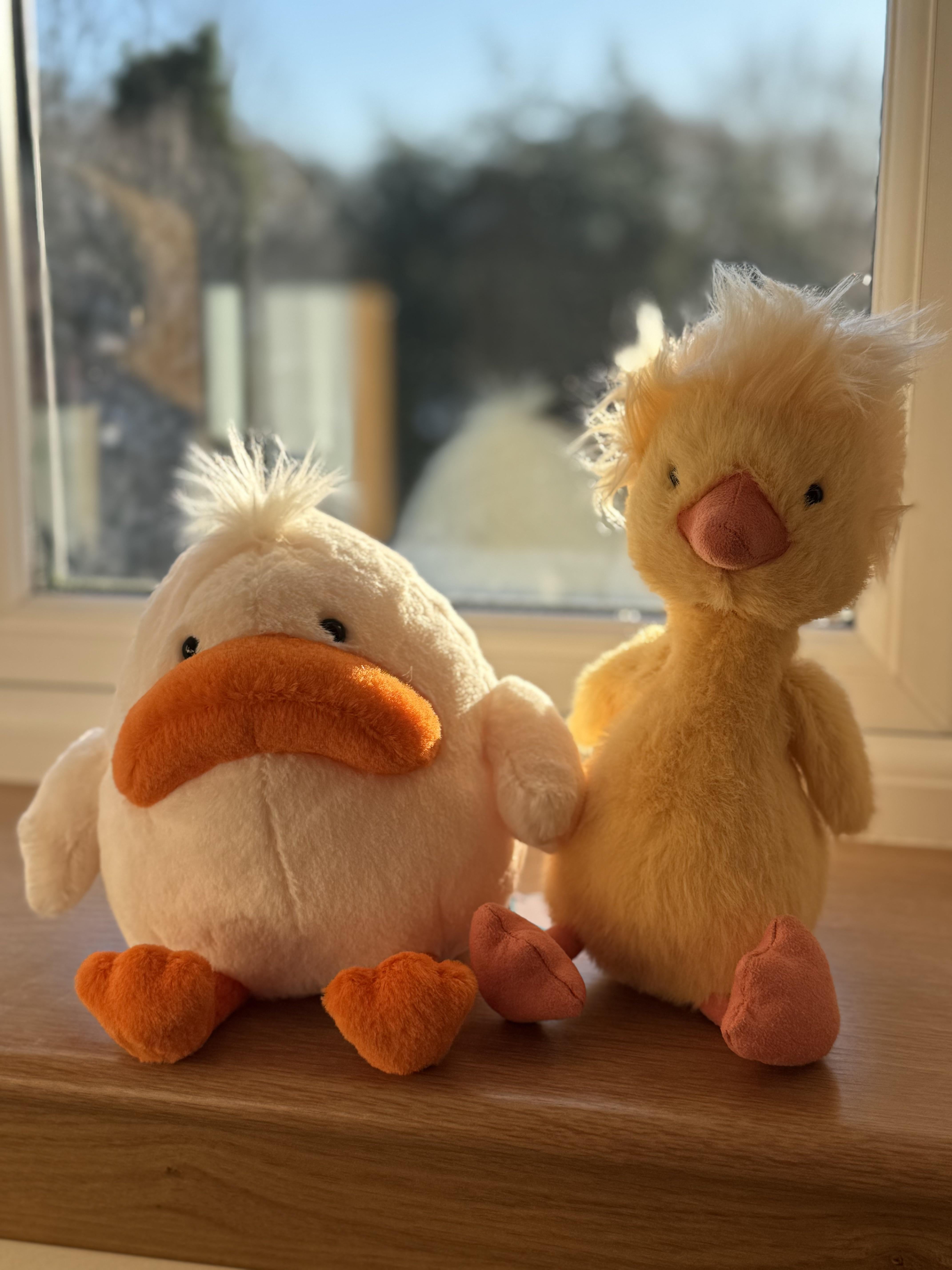 Delia Duck and Dorit Duckling are here! 🐥💛 : r/Jellycatplush