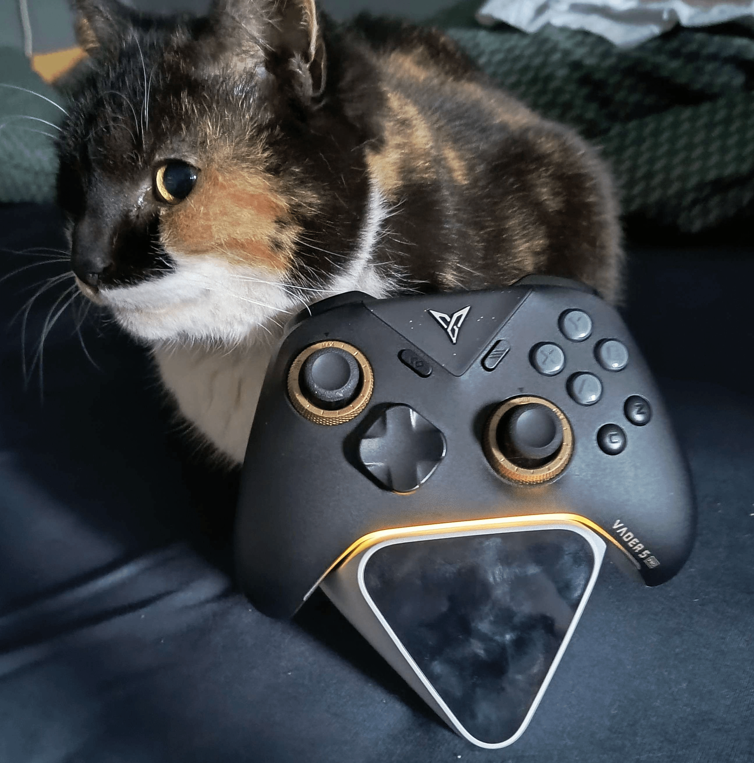 Flydigi Vader 5 Pro review and comparison | was it worth the wait