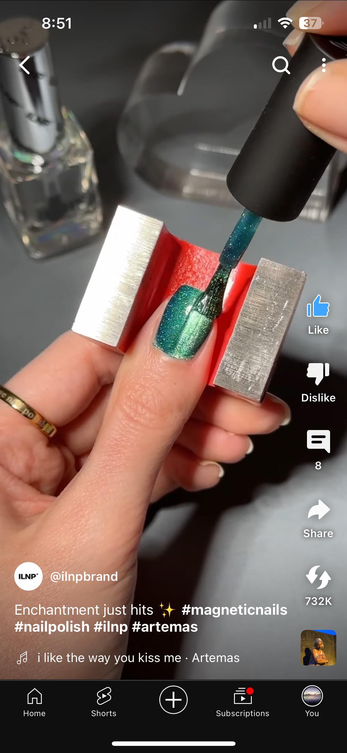 Horseshoe Magnet 🧲 velvet nail effect, 30lb vs 13lb. Anyone try