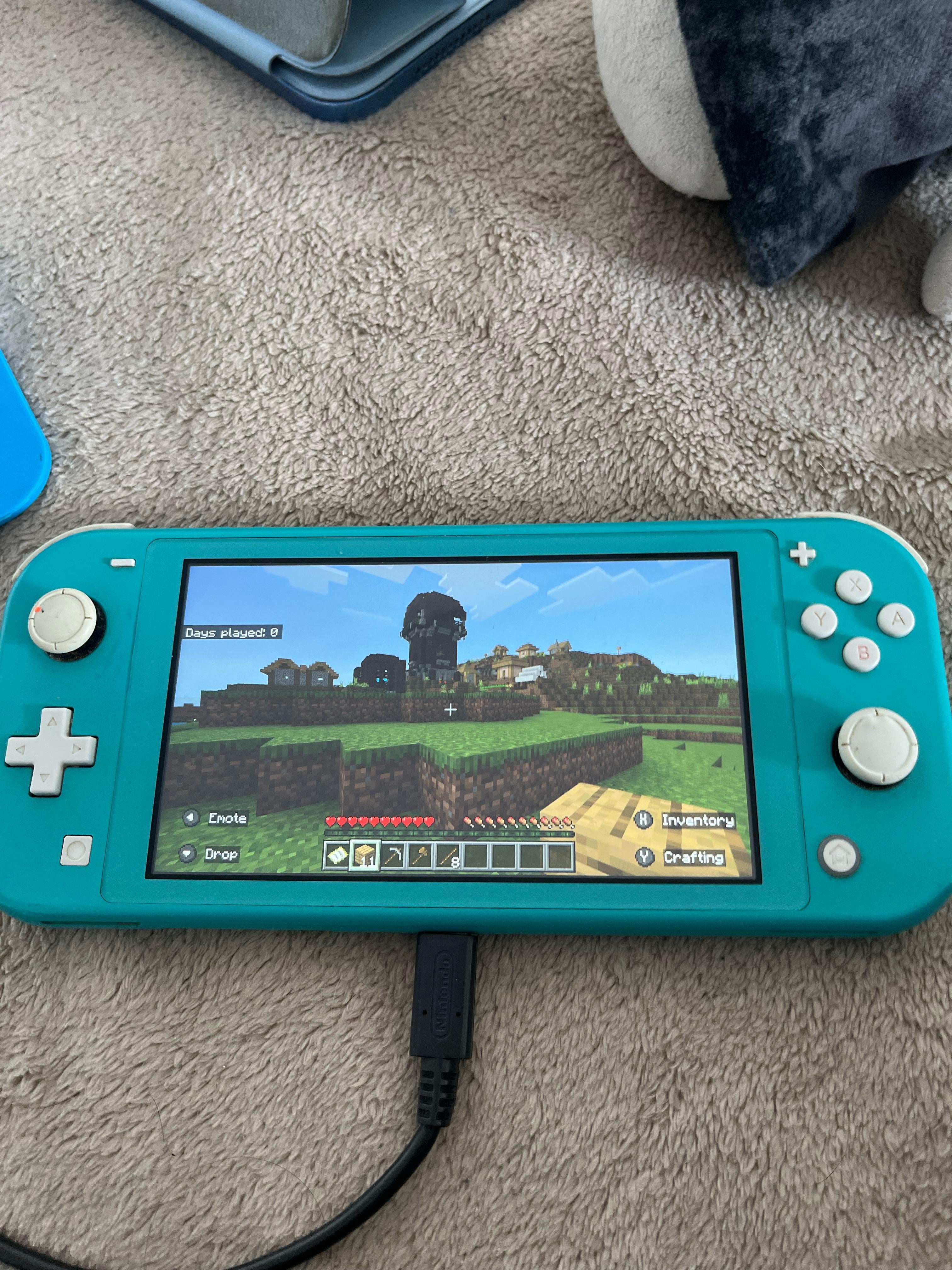 Switch LiteでMinecraft始めたんだけど… マジでこのシード何だよ : r