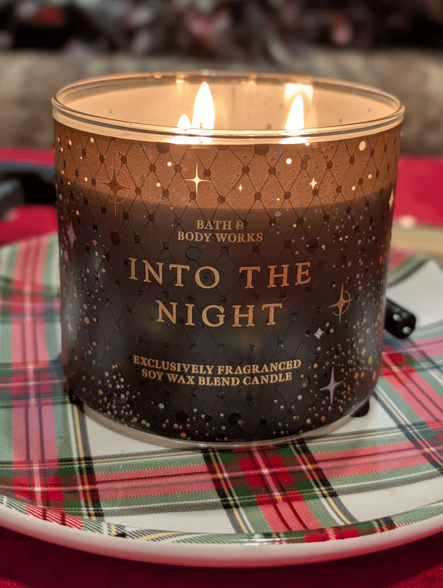 Into The Night Candle : r/bathandbodyworks