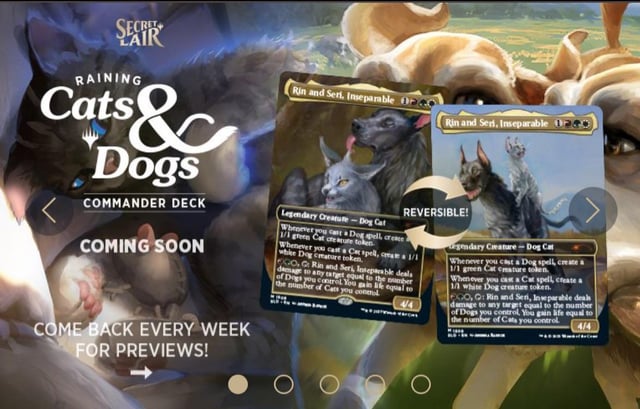It's Raining Cats & Dogs Secret Lair Commander Deck Coming Soon