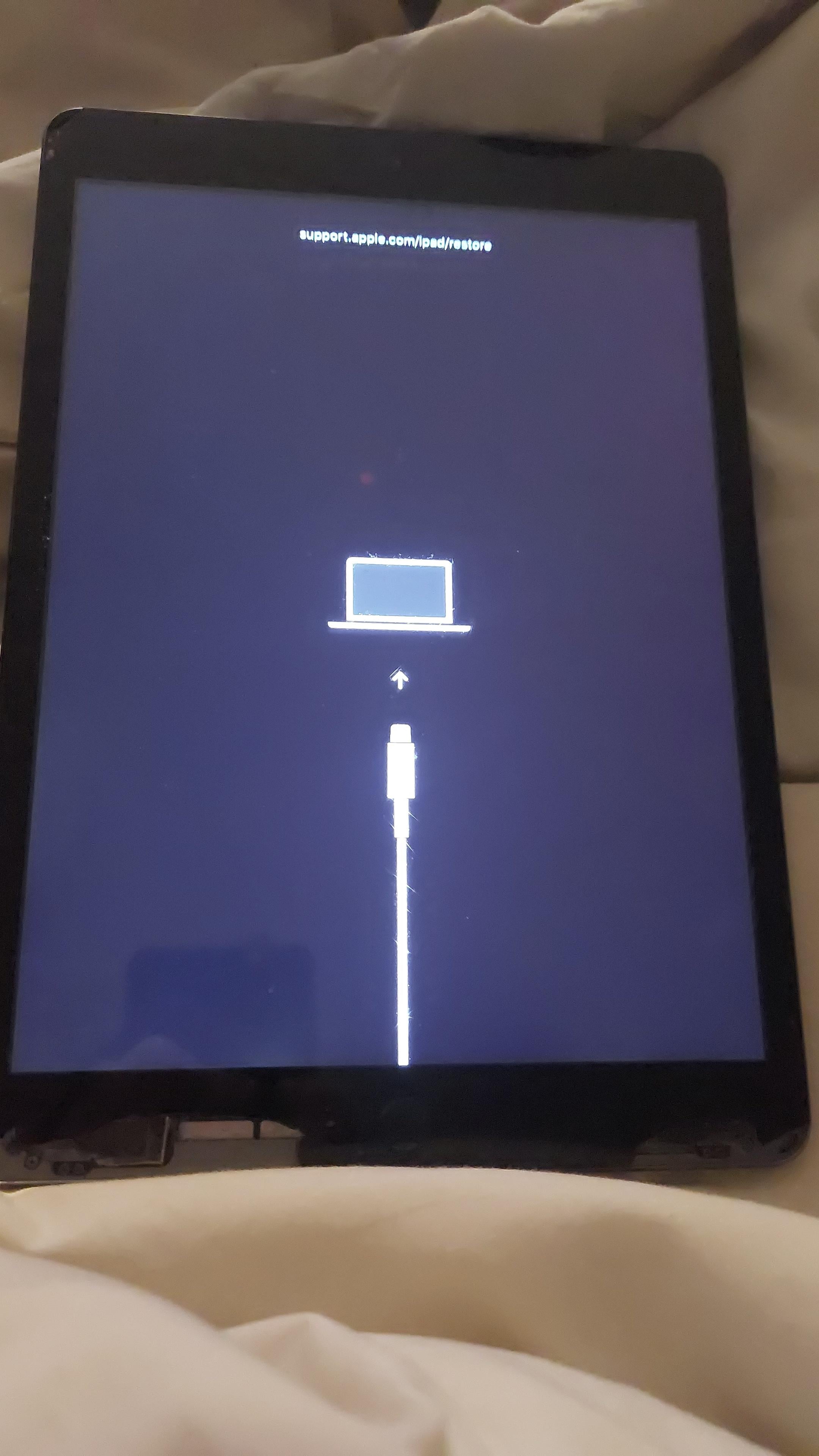 iPadがリカバリーモードでしか起動しない（助けて） : r/jailbreak