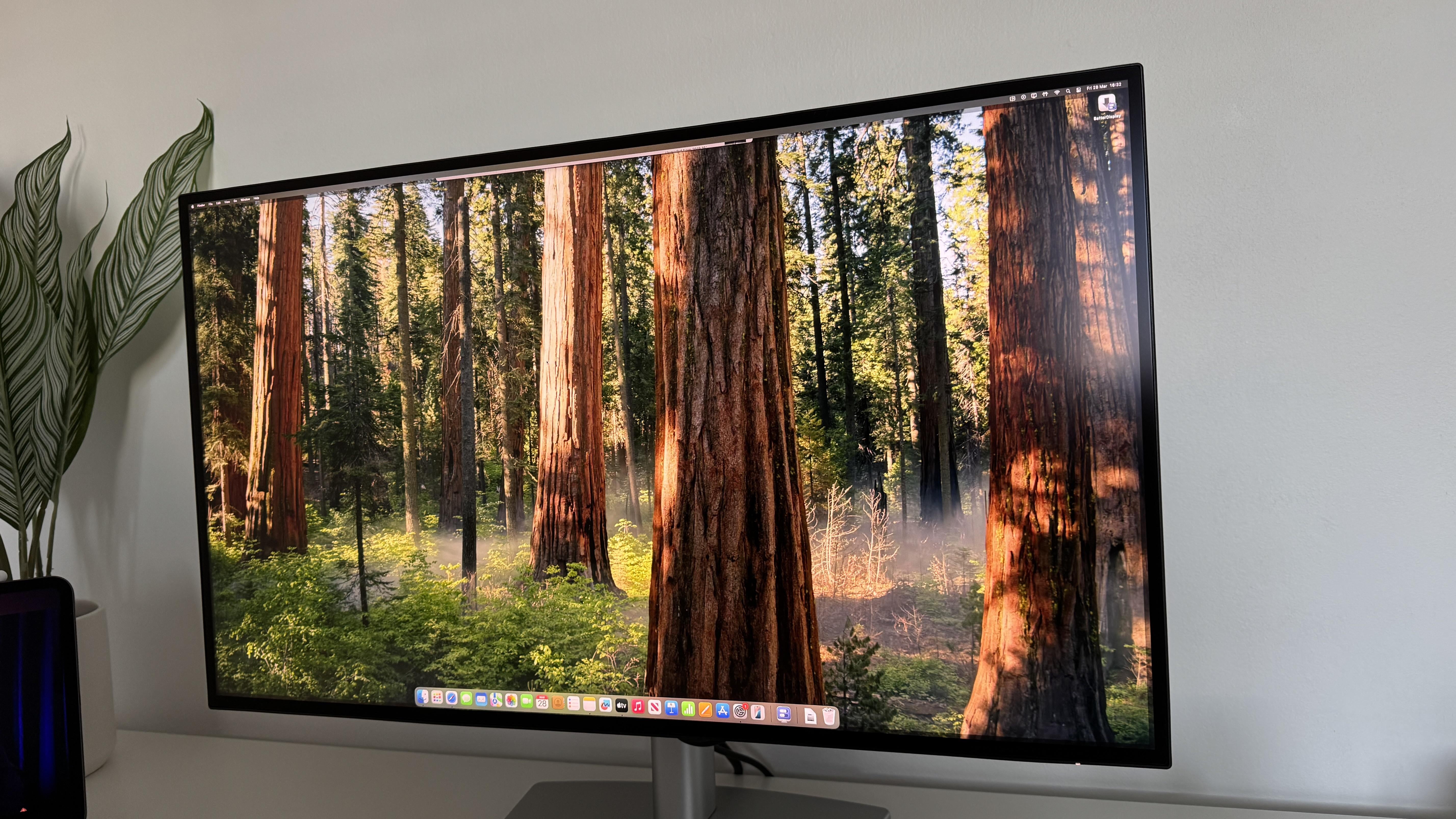 Mac Mini ディスプレイのアドバイス : r/macmini