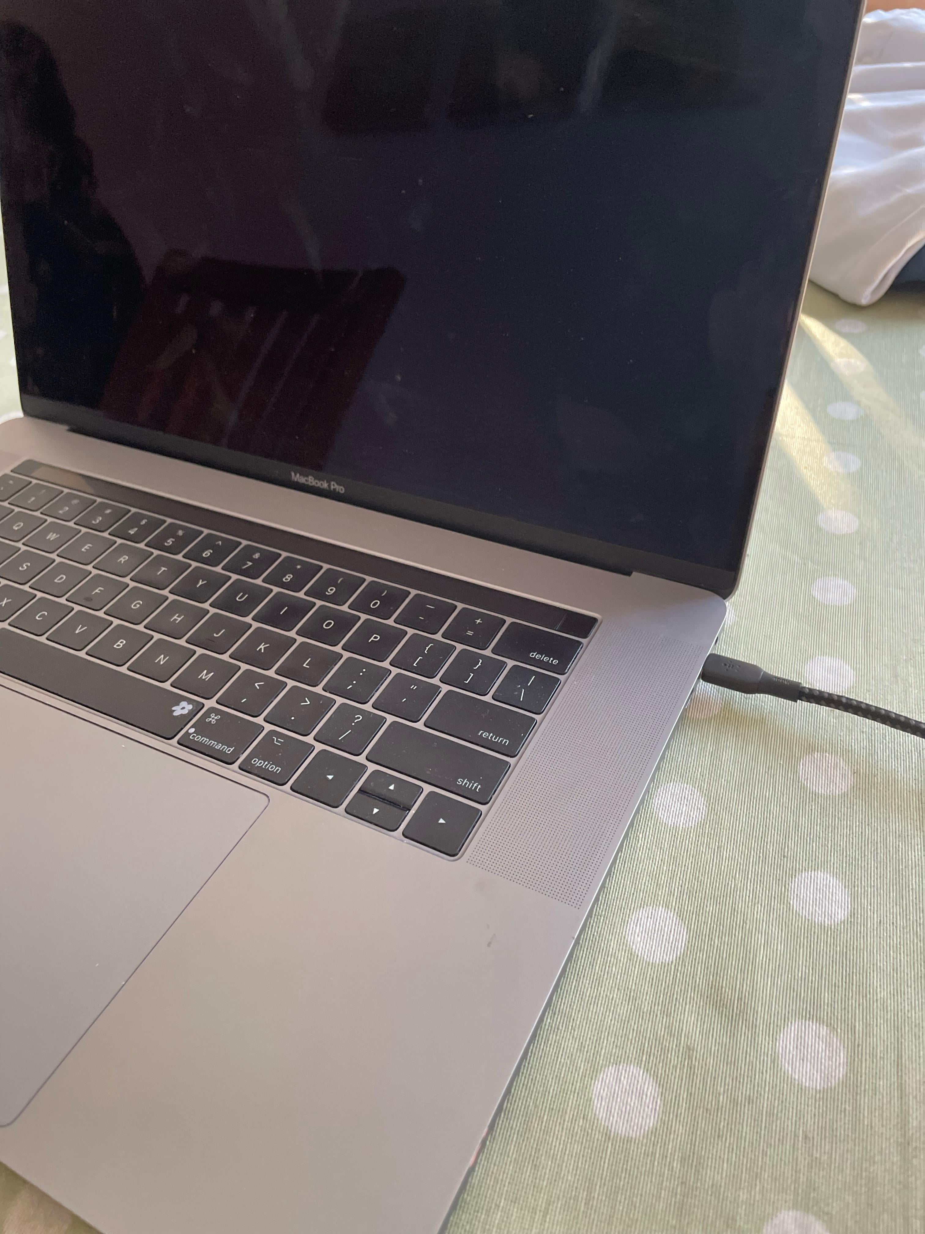 MacBook Pro 画面の問題 : r/mac