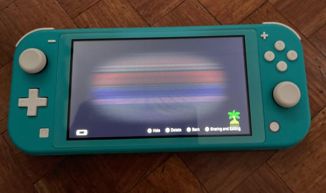 Switch Lite LCD 縦線問題 : r/NintendoPH
