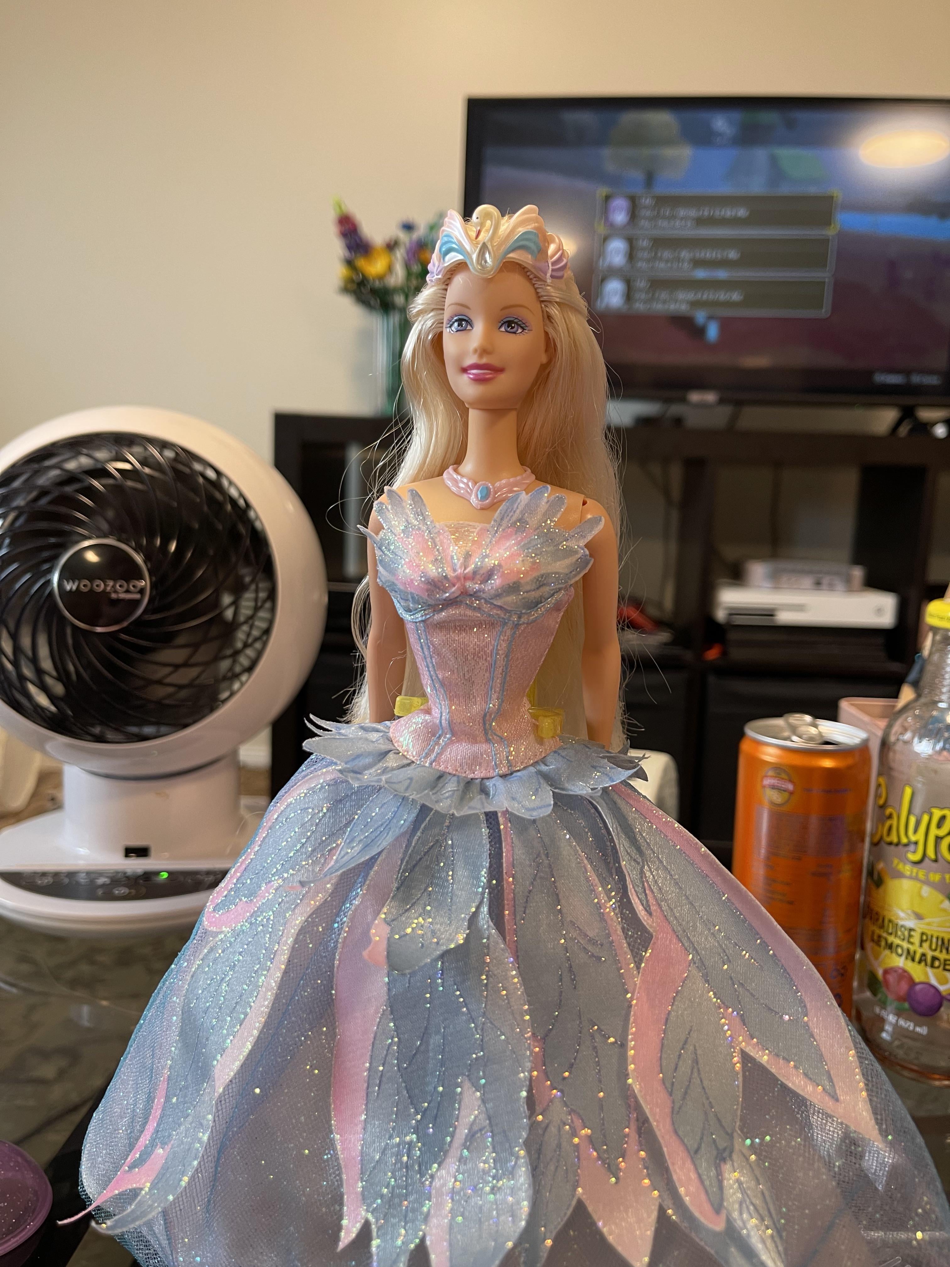 白鳥の湖 : r/Barbie