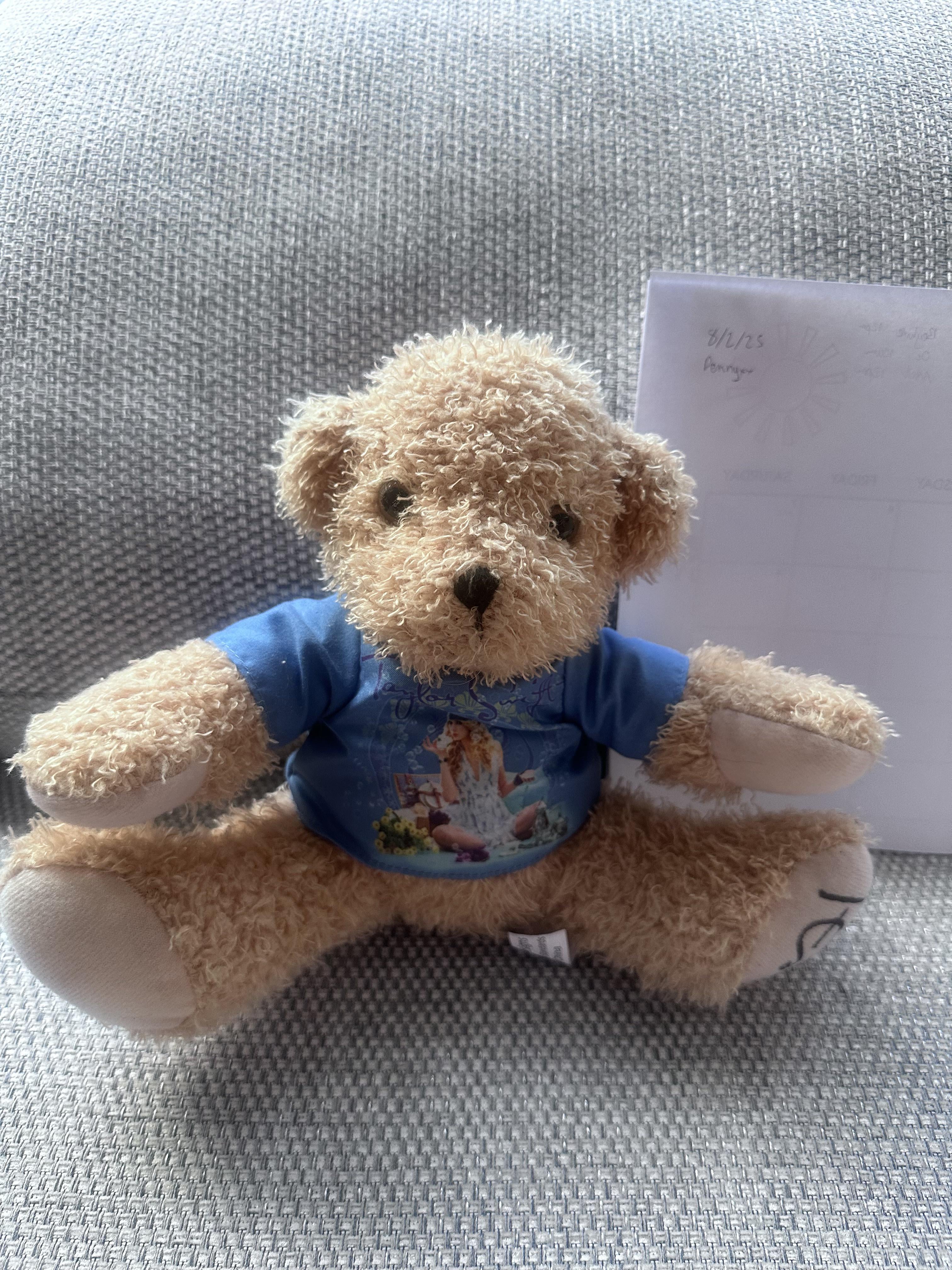 ミュージシャン Taylor Swift fearless teddy bear ミュージシャン