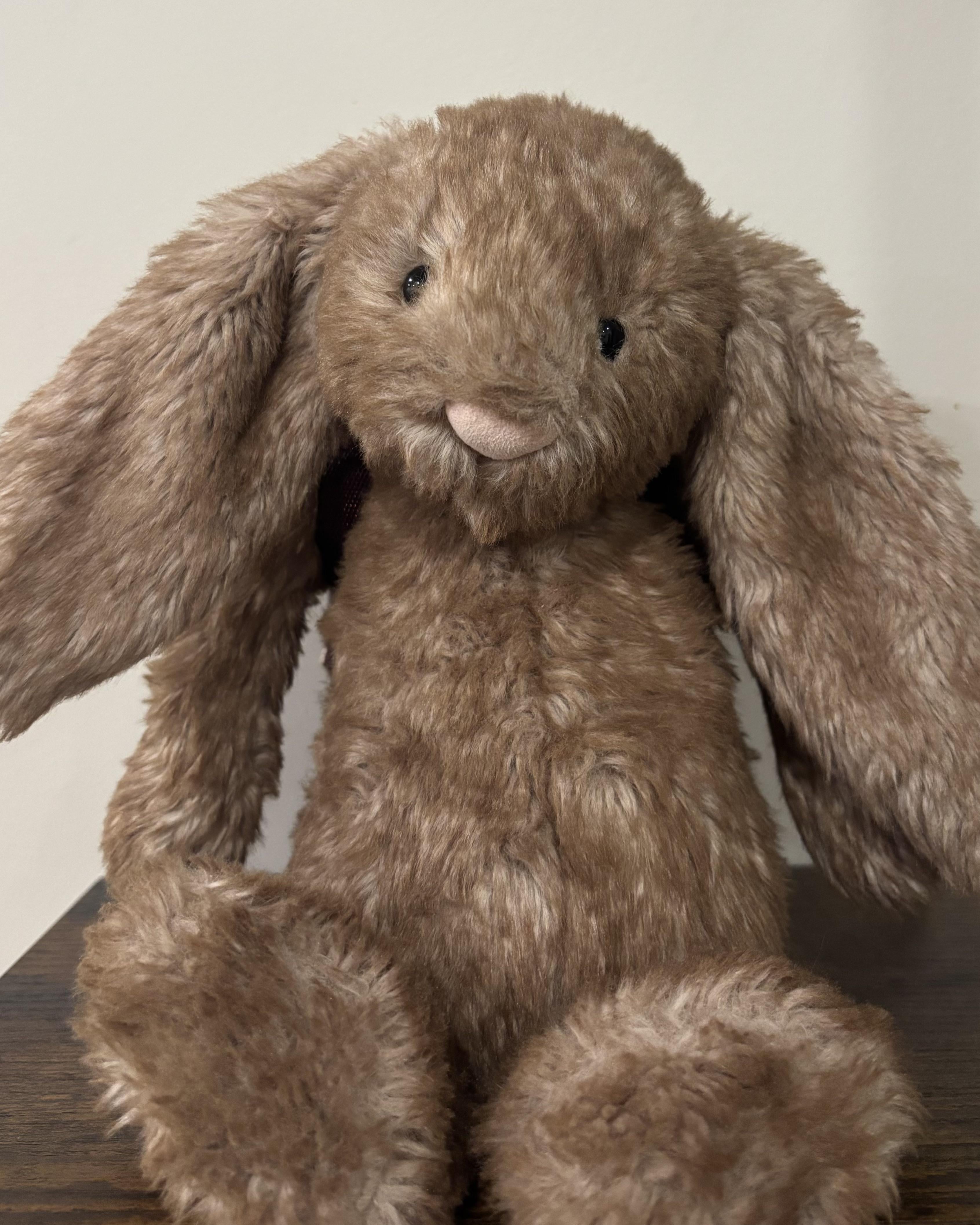 Hoppleston Luxe Bunnyは我慢した。 : r/Jellycatplush