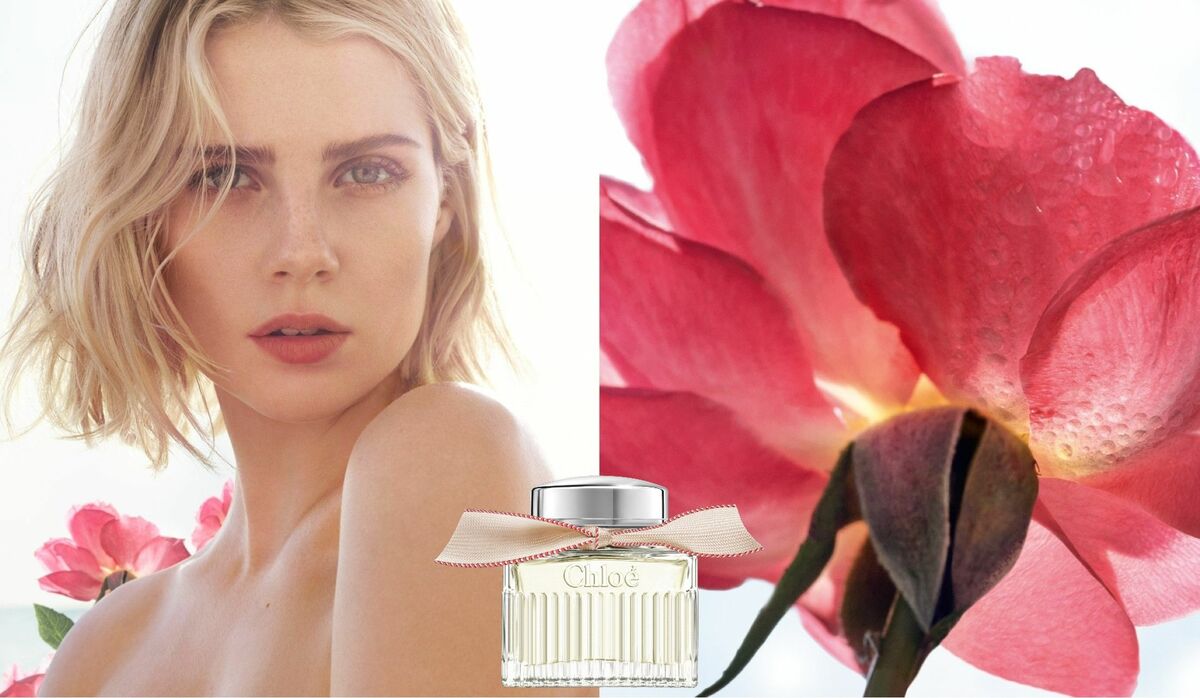 img_b1f4c201b470648fa23868b37a