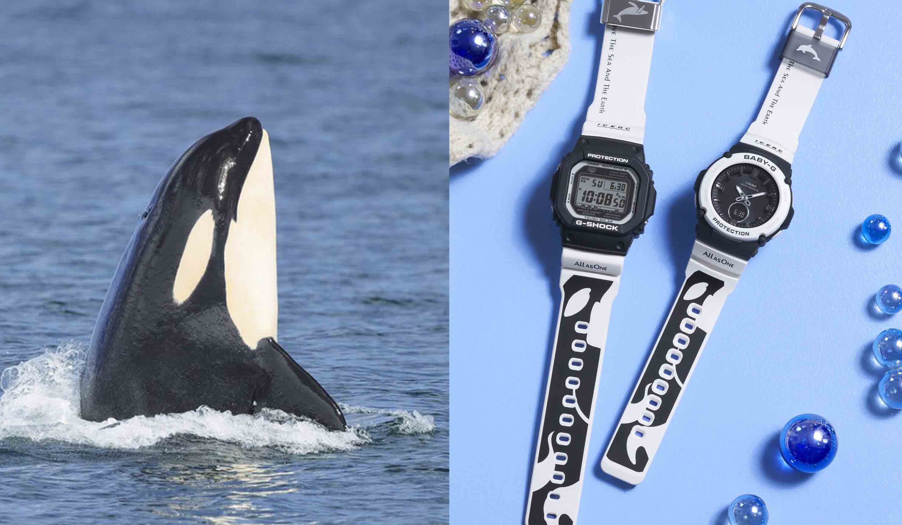クールでスタイリッシュな最新「イルカ・クジラモデル」で、G-SHOCKの