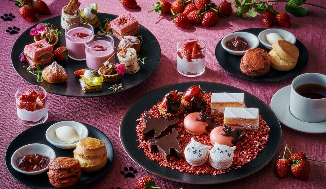 グランド ハイアット 東京】「猫×いちご」のかわいすぎるアフタヌーン