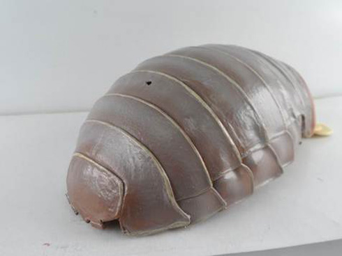 リアルすぎるダイオウグソクムシのiPhoneケース、ニコニコ超会議で「超