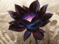 それ別のゲームのぶっ壊れカードじゃねーか！ 「デュエル・マスターズ