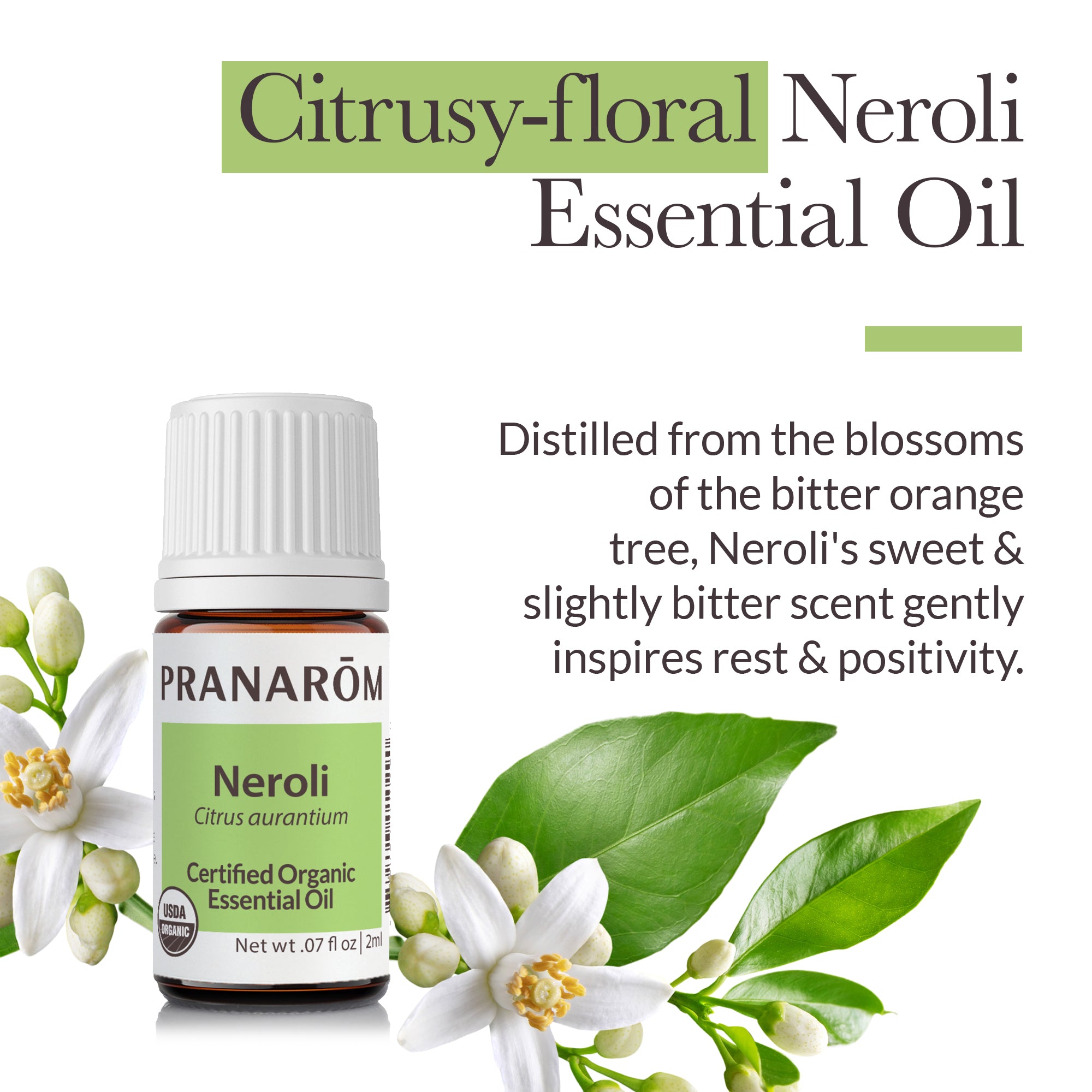 Neroli Essential Oil - Bio | Pranarôm
