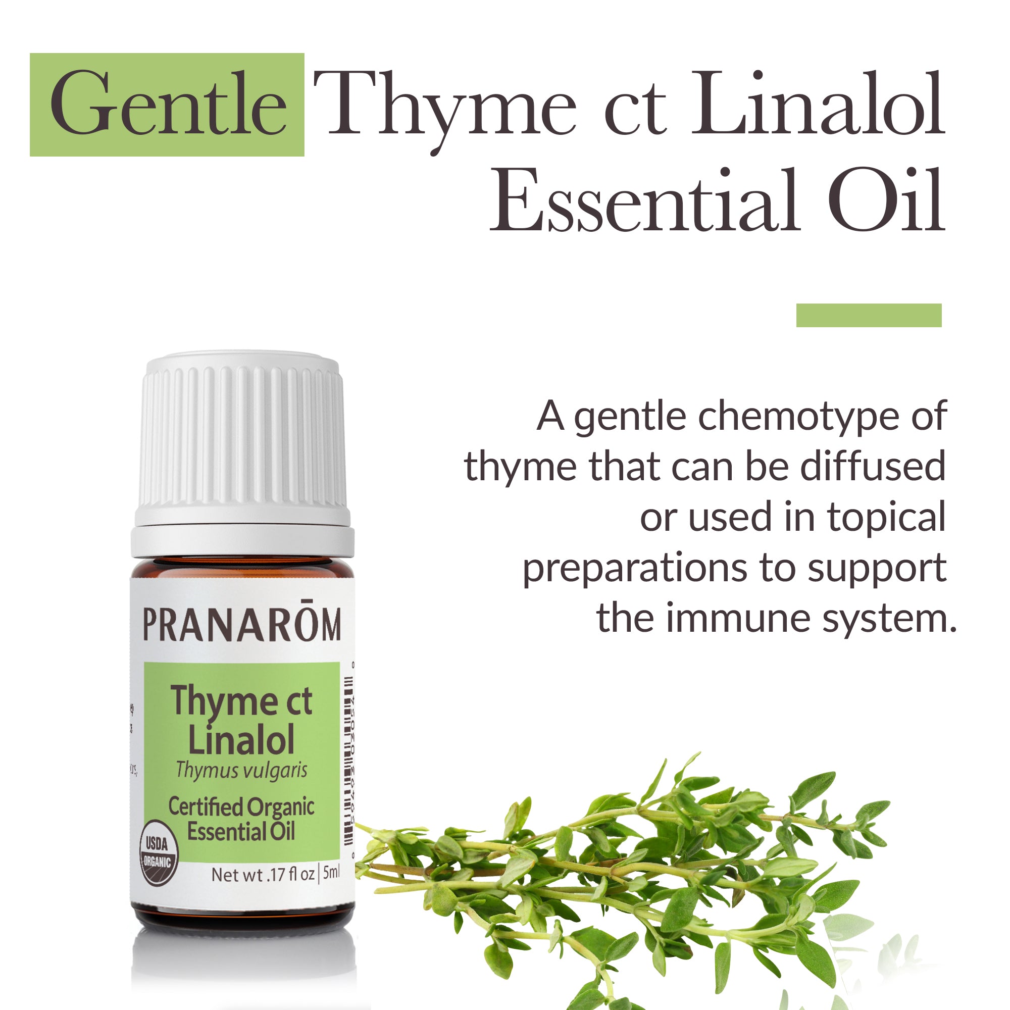 Thyme ct linalol Essential Oil - Bio | Pranarôm