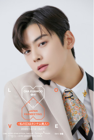 大ヒットドラマ「私のIDはカンナム美人」主演、チャウヌのオンライン