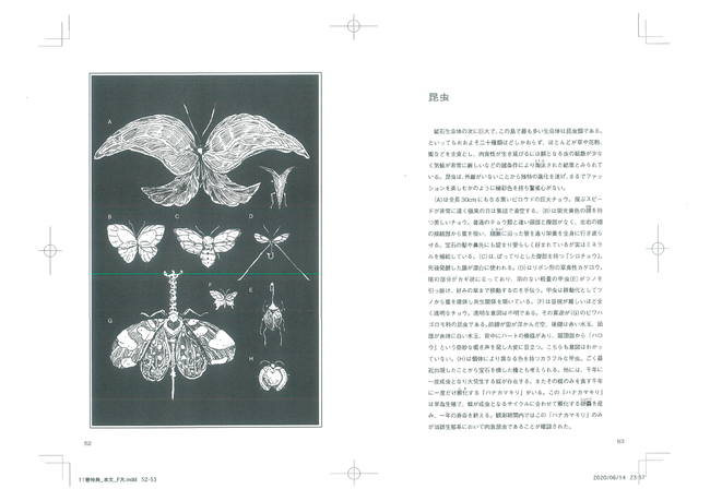 大反響のため、11巻特装版の小冊子を単体で刊行!! 永久保存 上製本