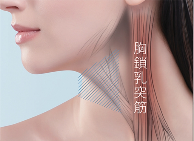 テレワーク中のおうち美容にもおすすめ 『メディリフト ネック』5月11