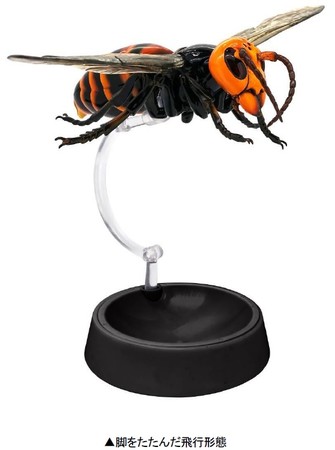 いきもの大図鑑」シリーズが進化(アドバンス)！ハイグレードモデル