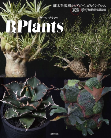 多肉植物 ファン注目！夏型 ＃珍奇植物 の最新情報満載の一冊 | 株式