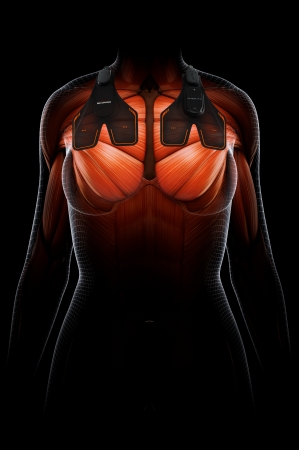 SIXPAD』から胸部を効率的に鍛える「SIXPAD Chest Fit」予約販売開始