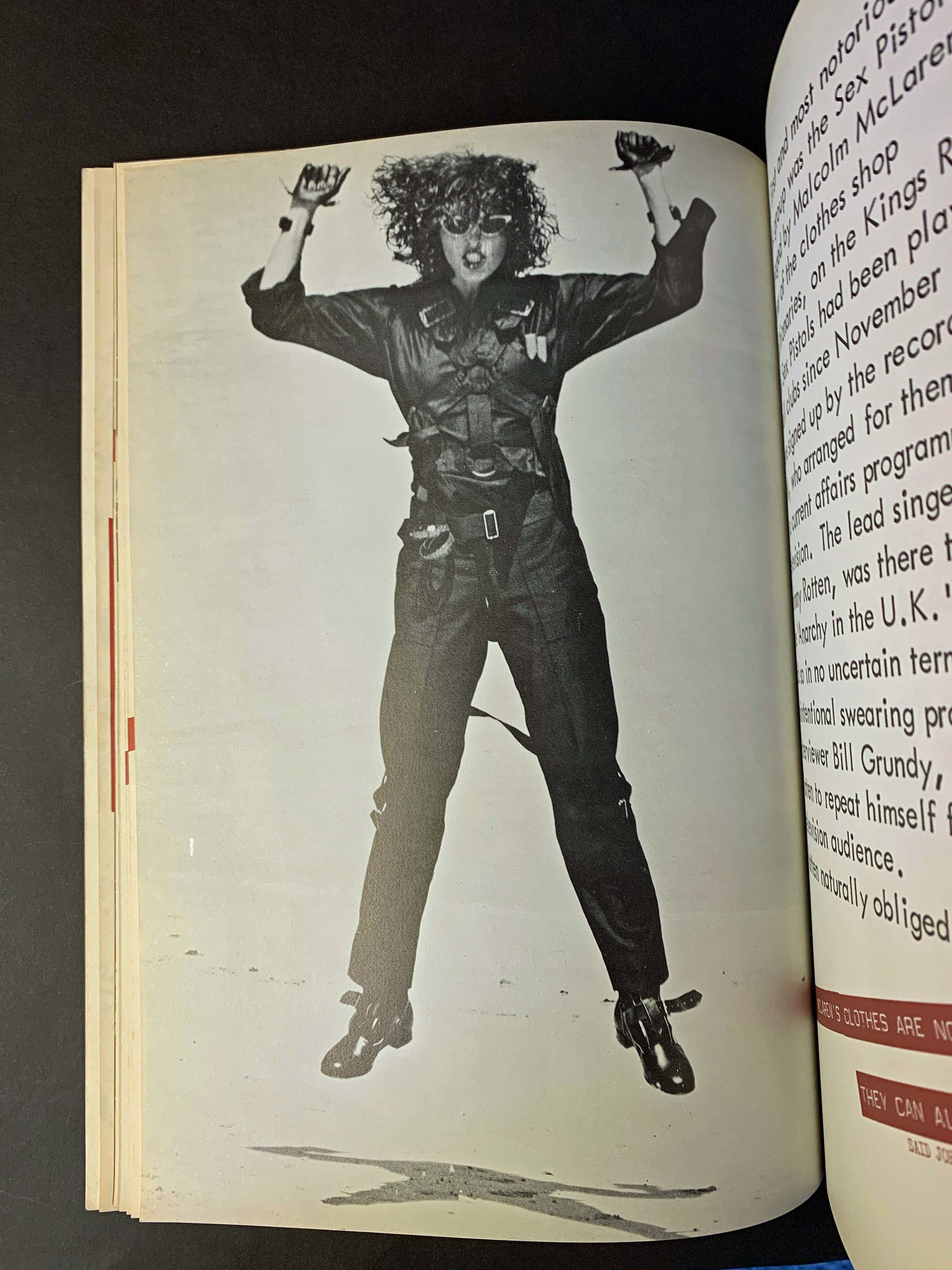 Not Another Punk Book! by Isabelle Anscombe - Punk 77