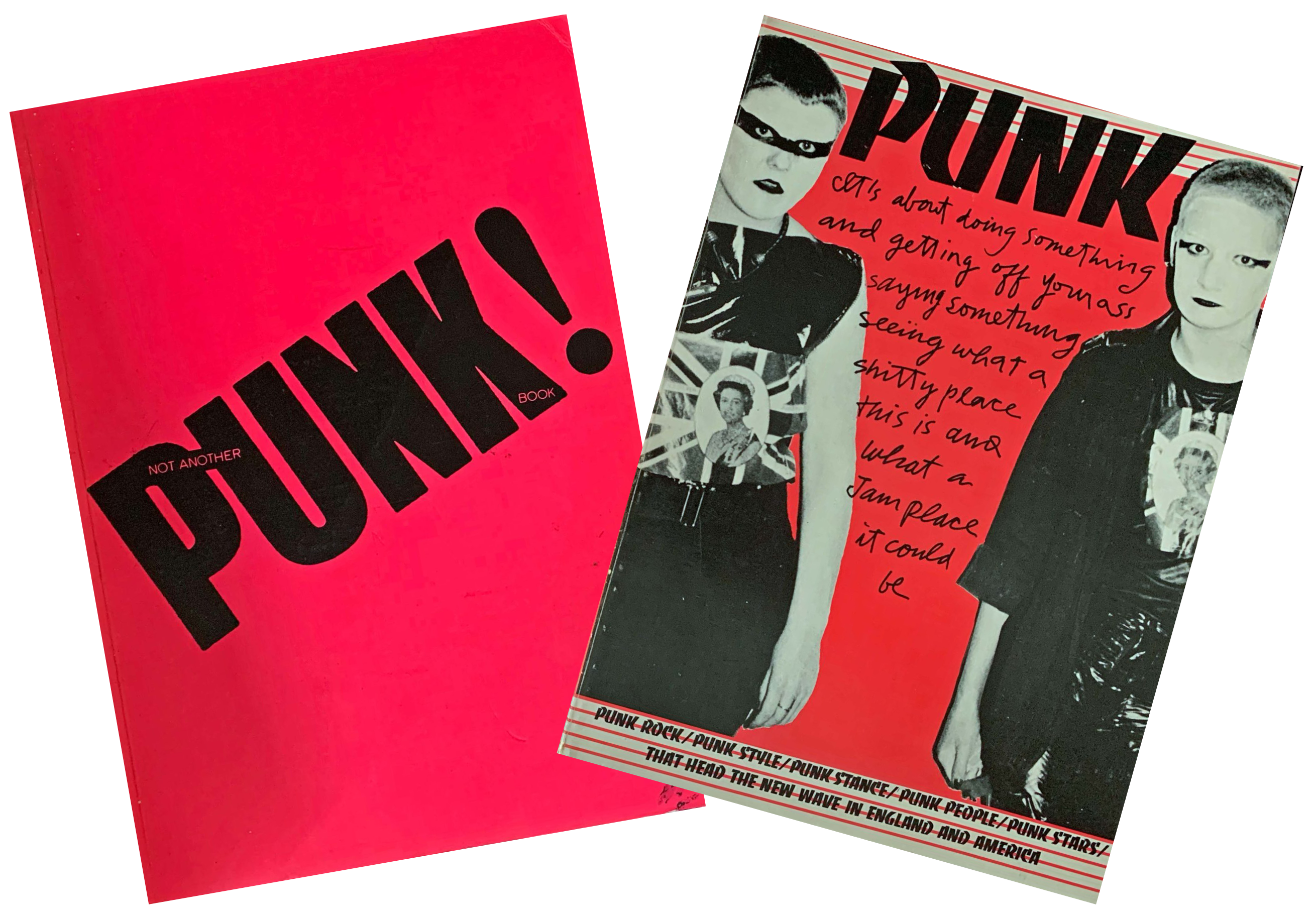 Not Another Punk Book! by Isabelle Anscombe - Punk 77
