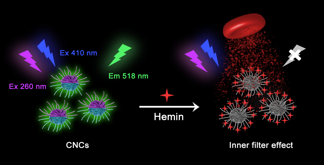 Dual-Exciting Central Carbon Nanoclusters for the Dual-Channel