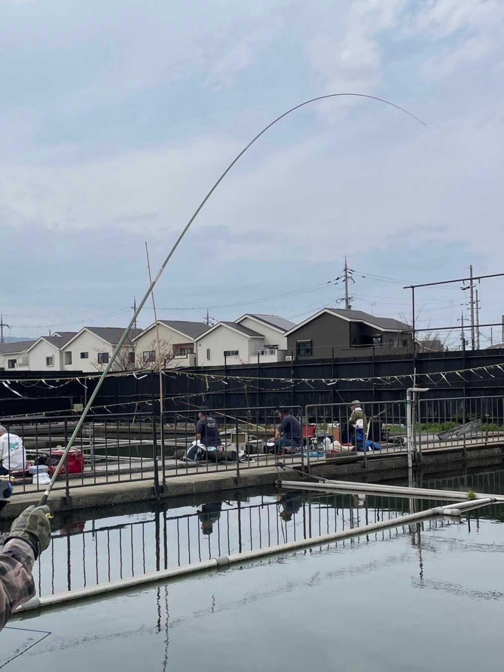 ダイワ製 ヘラ竿 HERA V インプレッション - 両うどんのヘラブナ釣り